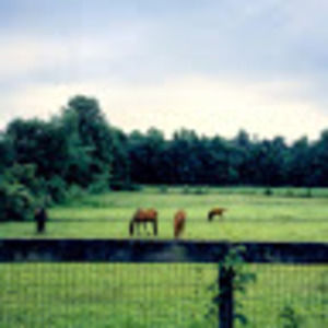 Meet your Posher, Devine